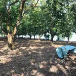 Bán nhà vườn 16.000m2 giáp Hồ Trị An, Đồng Nai - Ảnh thu nhỏ 3