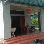 Bán vườn dừa 12 công (1,2 mẫu) có 200m2 thổ cư, tặng nhà cấp 4 tại Châu Bình, Giồng Trôm, Bến Tre - Ảnh thu nhỏ 2
