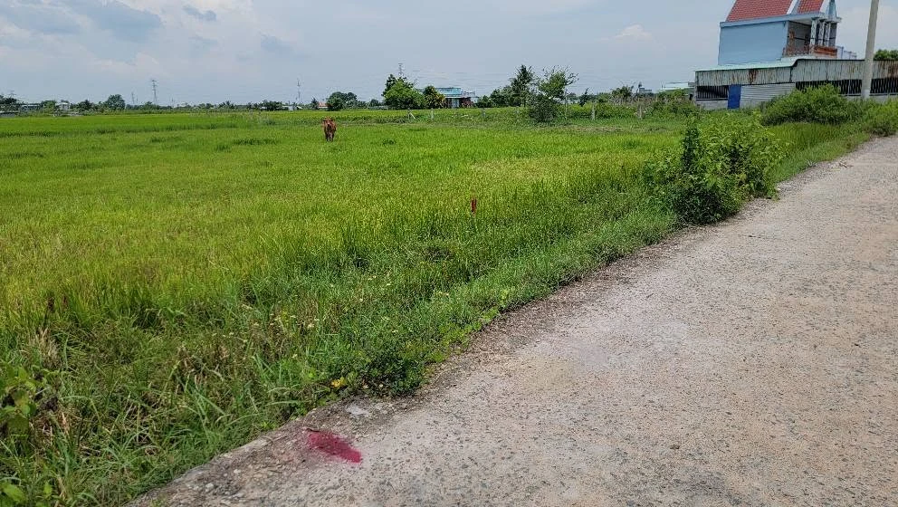 Bán đất Quốc Lộ 28, 750m2 thổ cư, 1 tỷ 250 triệu - Ảnh 1