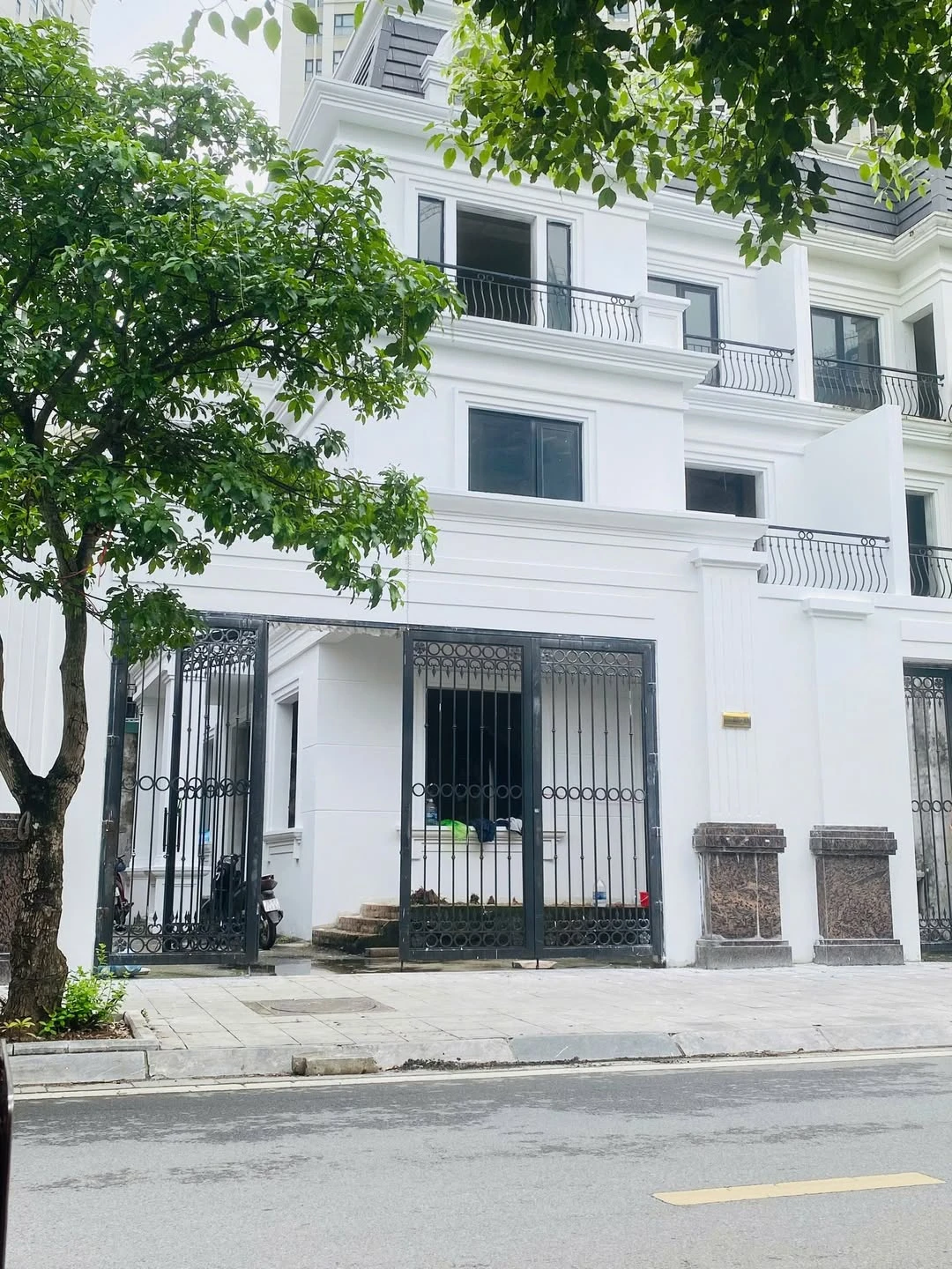 Bán biệt thự song lập Roman Plaza 197m2 giá 225tr/m2 - Ảnh 1