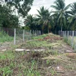 Bán đất nền biệt thự Phú Khương 222m2, 790 triệu - Ảnh thu nhỏ 2