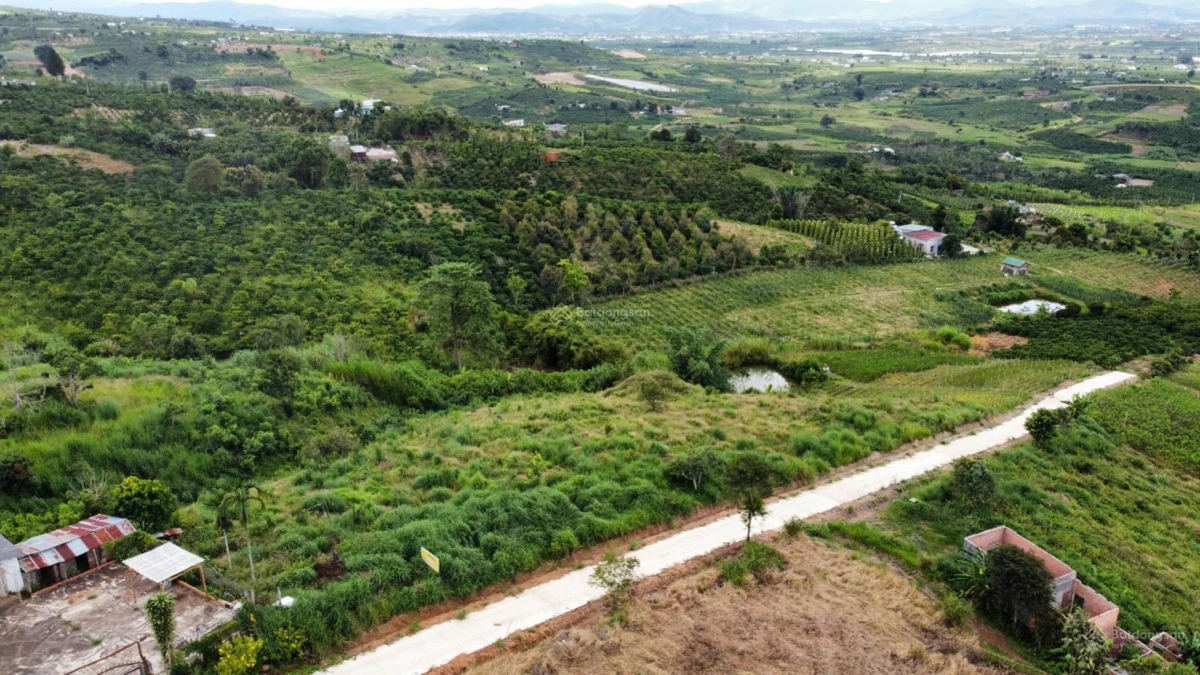 Bán 1 sào đất view săn mây đường ô tô tại Tân Hà, Lâm Hà, Lâm Đồng - Ảnh thu nhỏ 2
