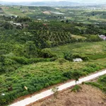 Bán 1 sào đất view săn mây đường ô tô tại Tân Hà, Lâm Hà, Lâm Đồng - Ảnh thu nhỏ 2