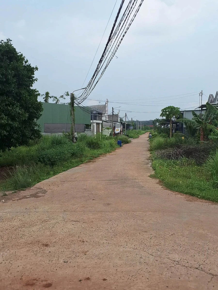 Bán đất mặt tiền 6×13m (78m²) 290 triệu Bình Chánh - Ảnh thu nhỏ 2