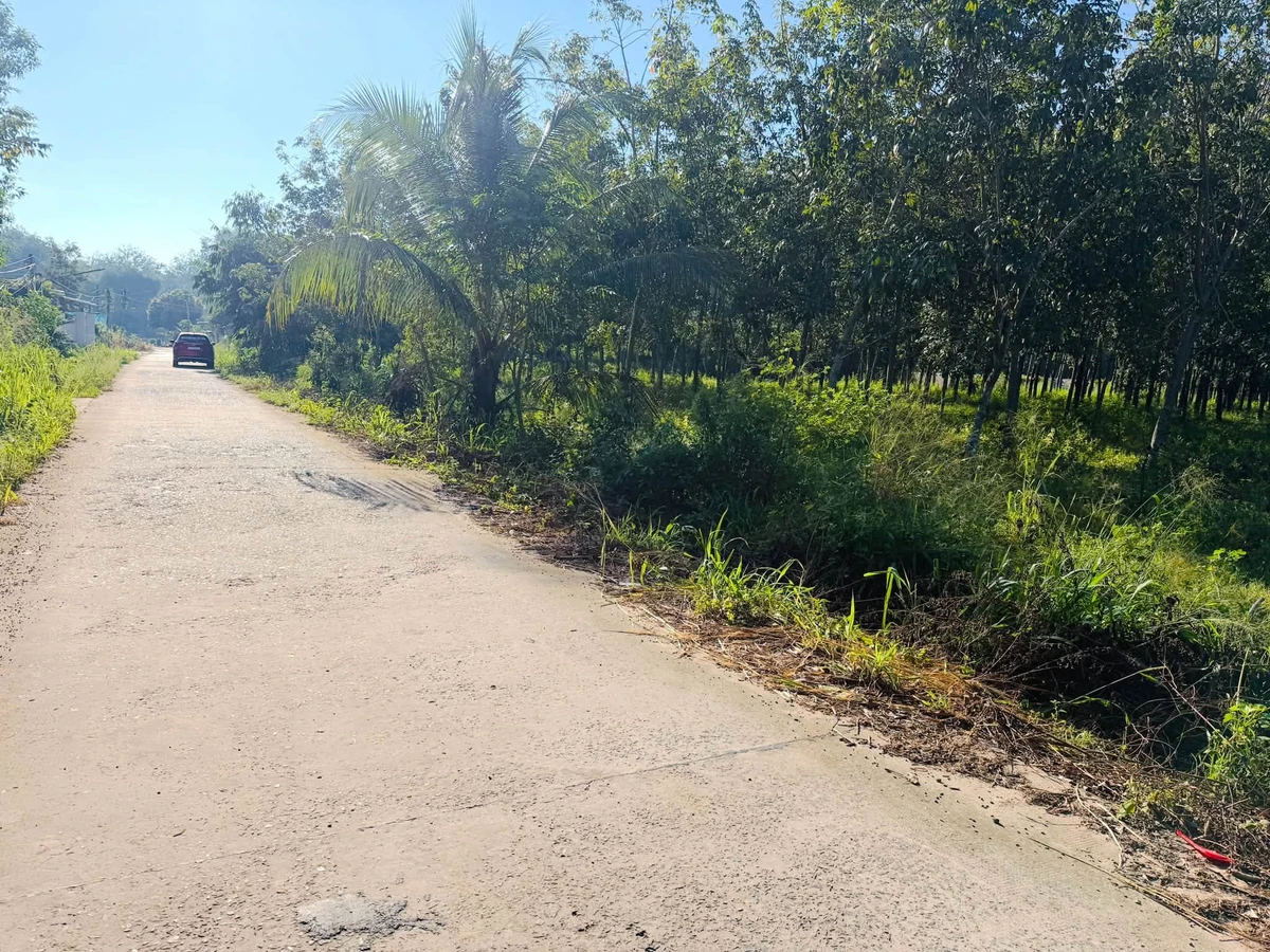 Bán lô đất 405m² Phường Minh Hưng, Bình Chánh - Ảnh thu nhỏ 3