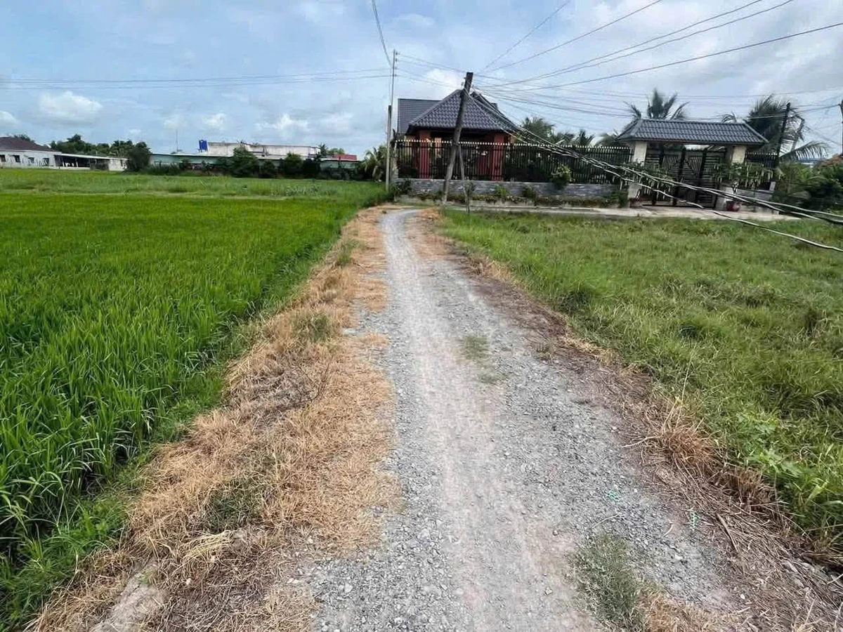 Bán lô đất thổ cư 120m² Bình Tân 480 triệu - Ảnh 1