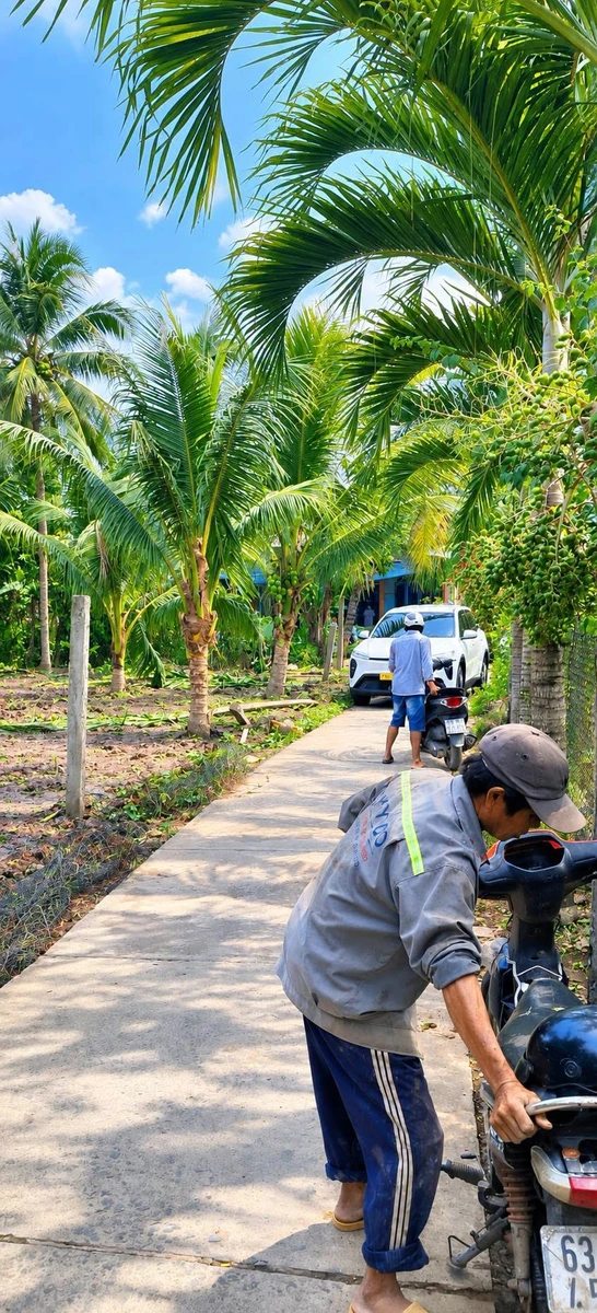 Bán đất HXH Tân Thạch 280m², 630 triệu - Ảnh thu nhỏ 2