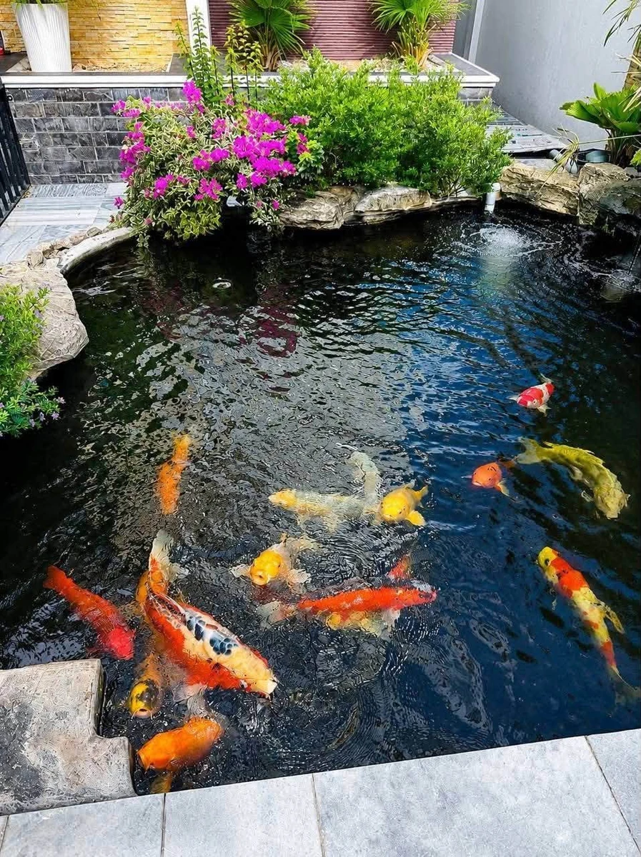Biệt thự 3 tầng 300m2 mặt tiền 12m chỉ 3 tỷ - Ảnh thu nhỏ 5