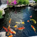 Biệt thự 3 tầng 300m2 mặt tiền 12m chỉ 3 tỷ - Ảnh thu nhỏ 5