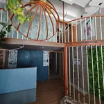 Cho thuê nhà nguyên căn 4PN 110m² Rạch Giá 12 triệu/tháng - Ảnh thu nhỏ 1
