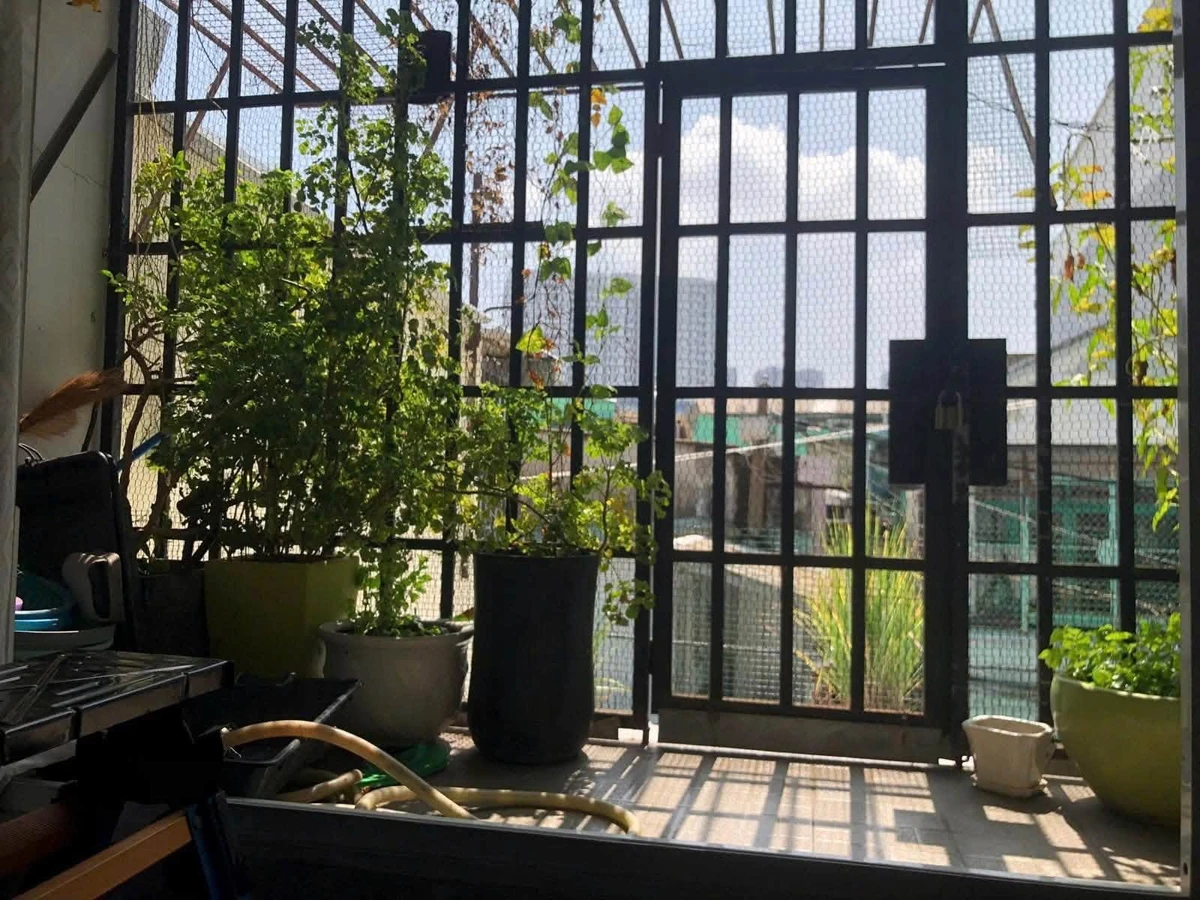 Bán nhà góc 2 mặt tiền nở hậu 45m² đường Trần Văn Thành, Quận 8 giá 5,5 tỷ - Ảnh thu nhỏ 2