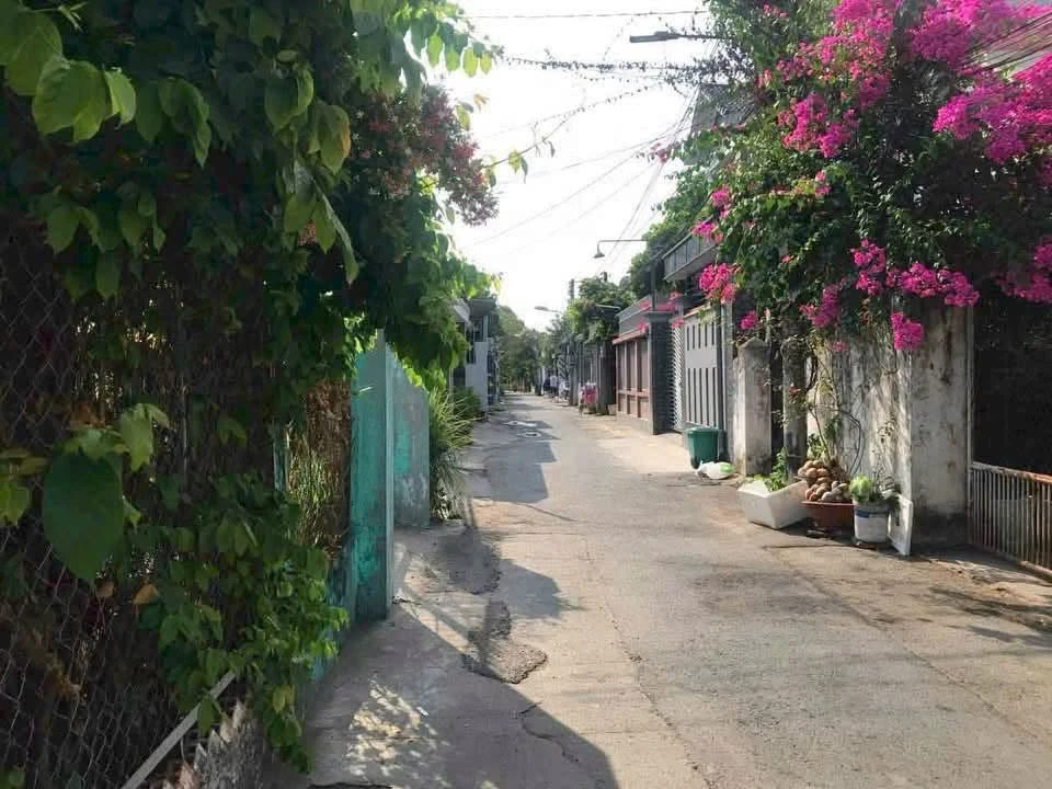Bán nhà kế bên KDC Phú Hòa 1, 194m² giá 6 tỷ Bình Dương - Ảnh 1