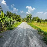 Bán gấp 2000m² đất vườn Chợ Gạo 520 triệu - Ảnh thu nhỏ 1