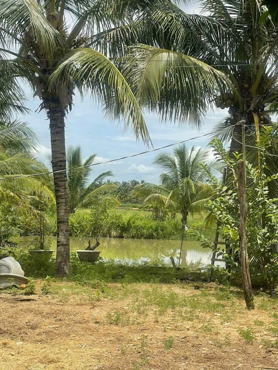 Bán đất Ninh Sơn 9.200m² có nhà cấp 4, 2 phòng ngủ 1,6 tỷ - Ảnh thu nhỏ 3