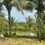 Bán đất Ninh Sơn 9.200m² có nhà cấp 4, 2 phòng ngủ 1,6 tỷ - Ảnh thu nhỏ 3