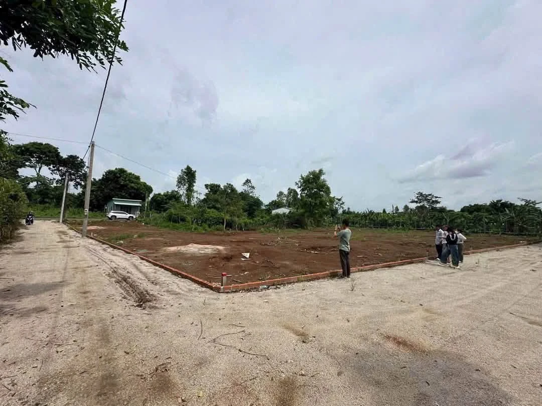 Bán đất Đá Mi 80m² Nhà Bè 580 triệu - Ảnh thu nhỏ 2