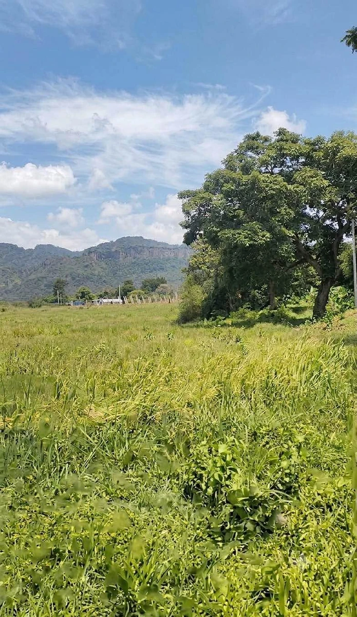 Bán đất Bình Thuận 1188m2 view đẹp 99 triệu - Ảnh 1