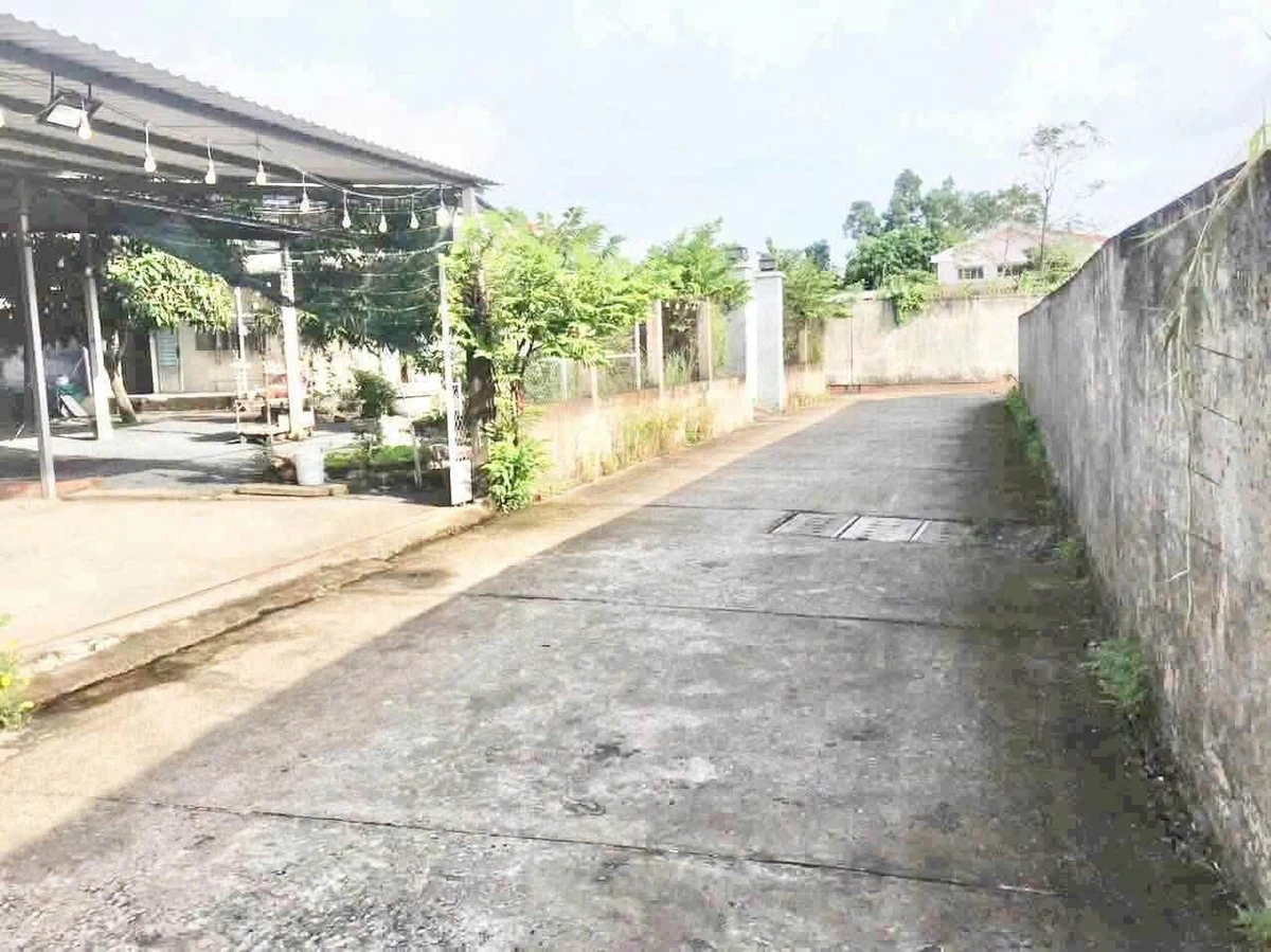 Bán nhà vườn 726m² 2PN Phường Long An Tây Ninh 6 tỷ - Ảnh thu nhỏ 2