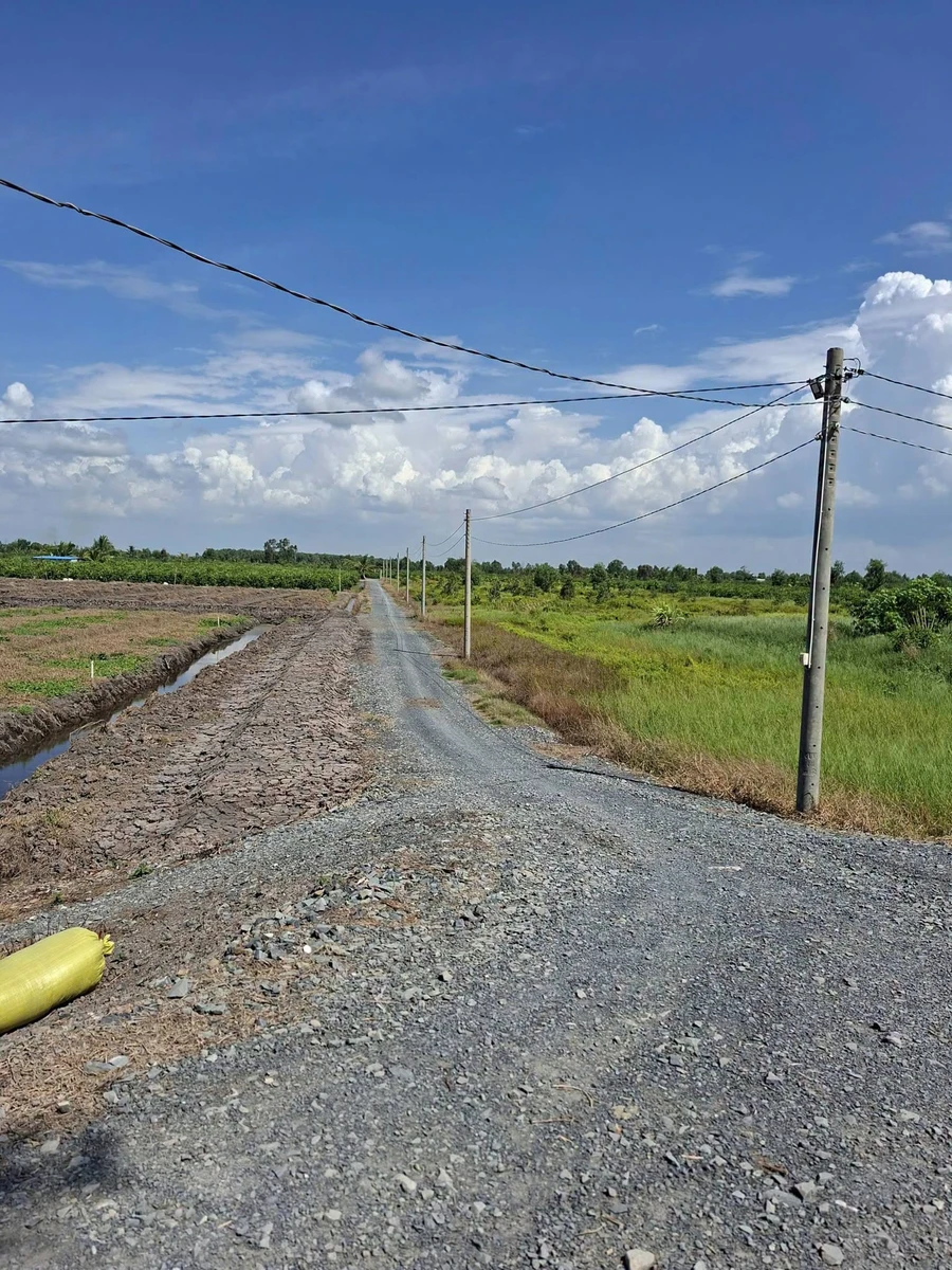 Bán đất vườn 1200m² Ấp 3 Tân Thành Thủ Thừa - Ảnh thu nhỏ 2