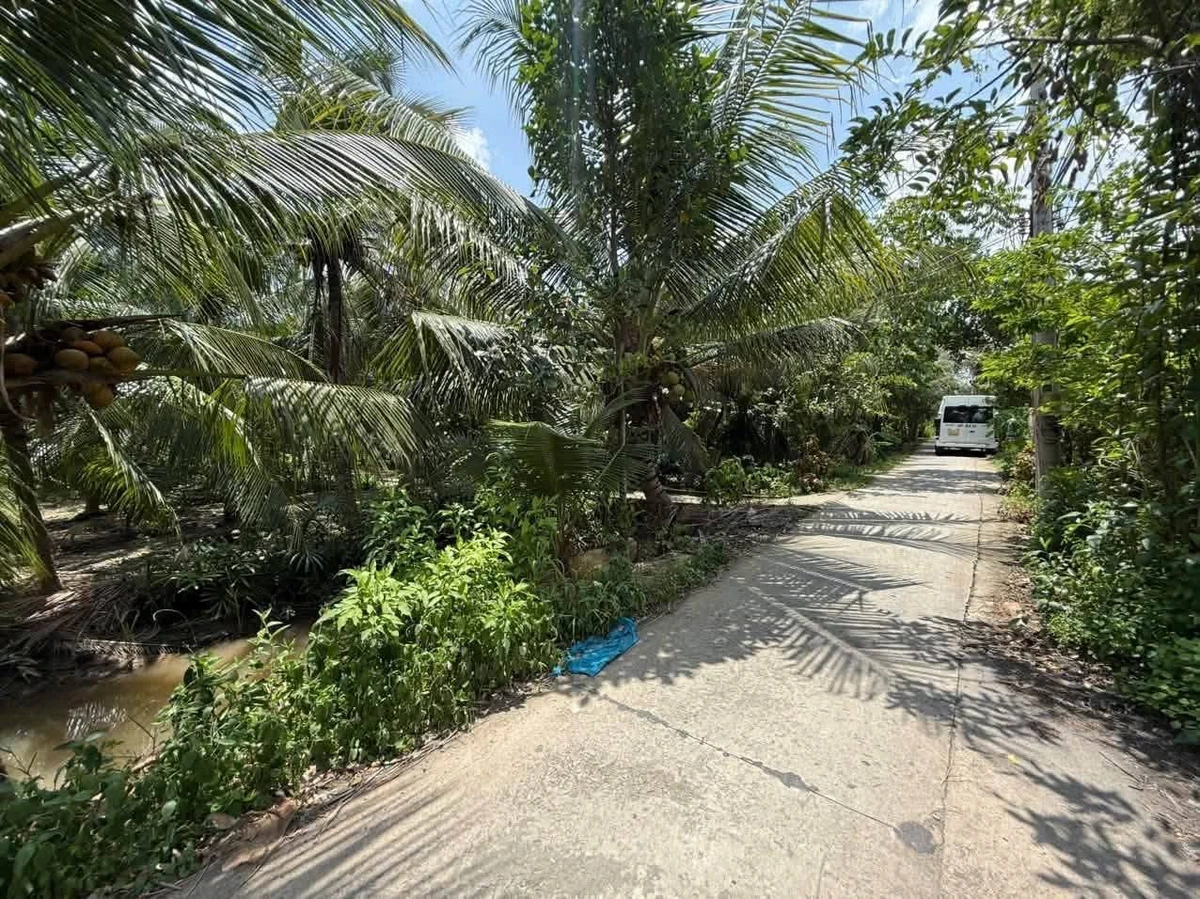 Bán đất trồng cây 500m2 gần KCN Giao Long 900 triệu - Ảnh thu nhỏ 3