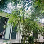Bán nhà khai thác homestay 1.163m² ở KM12 QL26, Đắk Lắk, doanh thu 15–20tr/tháng - Ảnh thu nhỏ 2