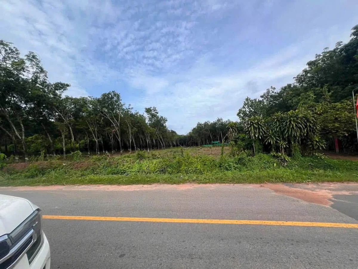 Bán đất 50.000m2 mặt tiền 40m Bình Dương - Ảnh thu nhỏ 2