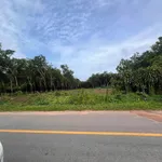 Bán đất 50.000m2 mặt tiền 40m Bình Dương - Ảnh thu nhỏ 2