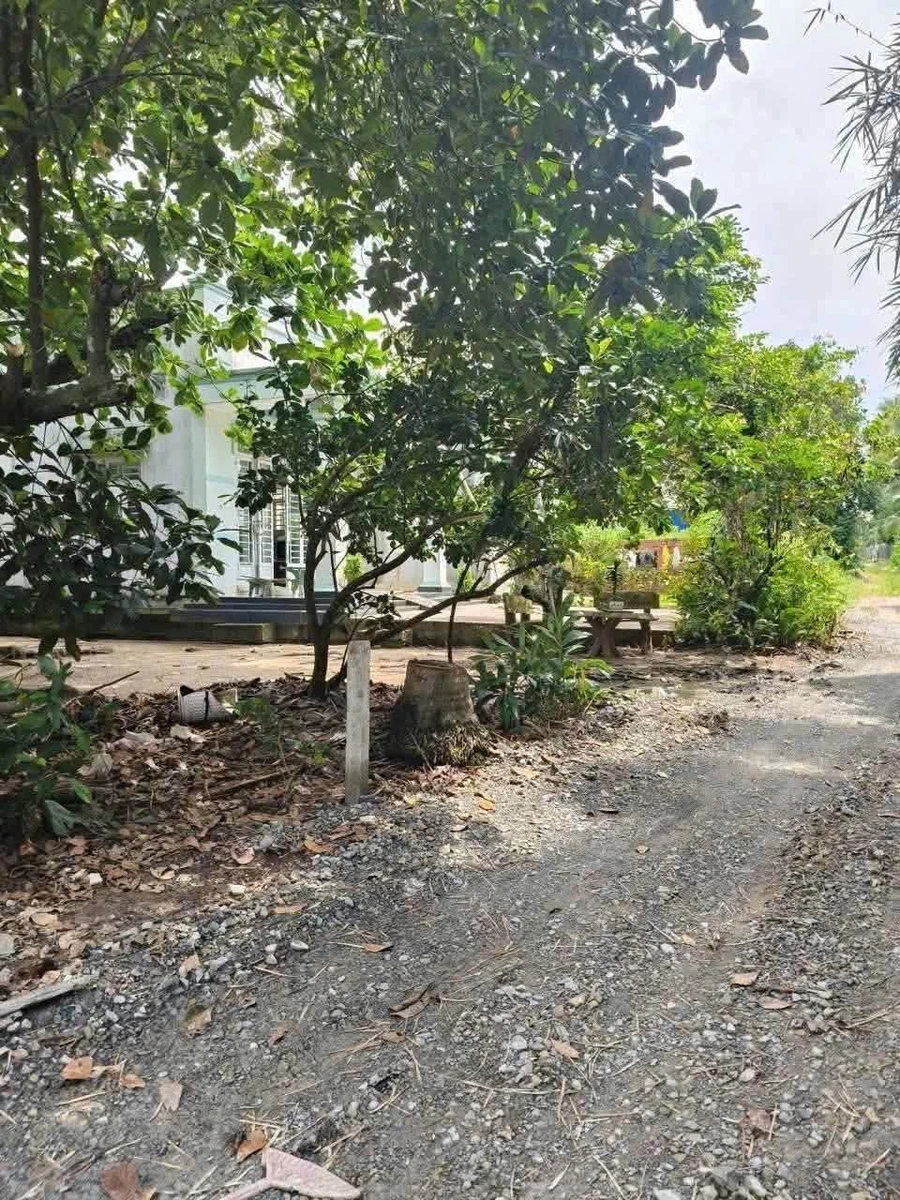 Bán đất 80m² Tây Ninh 250 triệu hẻm xe hơi - Ảnh thu nhỏ 2