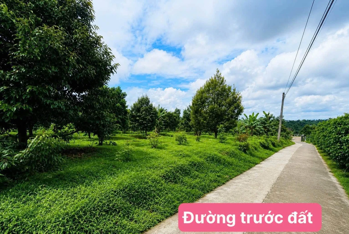 Bán đất nền Hòa Ninh Di Linh 100m² từ 299 triệu - Ảnh thu nhỏ 2