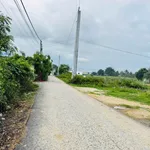 Bán đất thổ cư Long Bình 1, 85-130m², từ 440 triệu - Ảnh thu nhỏ 4