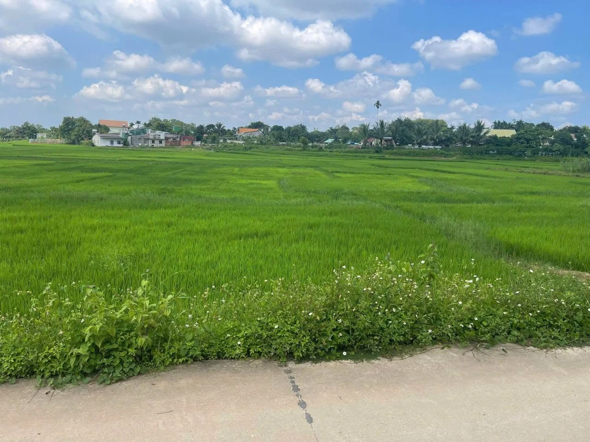 Bán lô đất hẻm Nguyễn Trường Tộ 5x22m, view cánh đồng, gần Đại học Tây Nguyên, Buôn Ma Thuột - Ảnh thu nhỏ 2