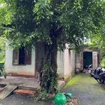 Bán nhà vườn cao su 1.49ha Bù Đốp Bình Phước - Ảnh thu nhỏ 1