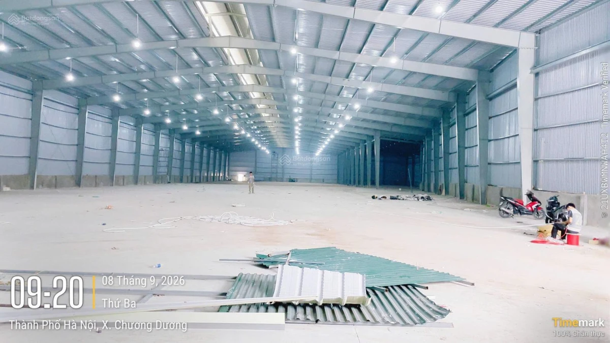 Cho thuê kho xưởng 5.500m2, PCCC tự động gần QL1A Thắng Lợi, huyện Thường Tín, Hà Nội - Ảnh thu nhỏ 3