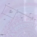 Bán 1100m2 đất vườn dừa Phú Tân, Cần Giờ - Ảnh thu nhỏ 3