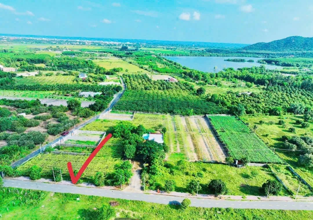 Bán lô đất 237m² Phước Hải gần Núi Minh Đạm 1 tỷ 8 - Ảnh 1