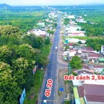 Bán đất Đồng Nai 115m2 giá 299 triệu - Ảnh thu nhỏ 1