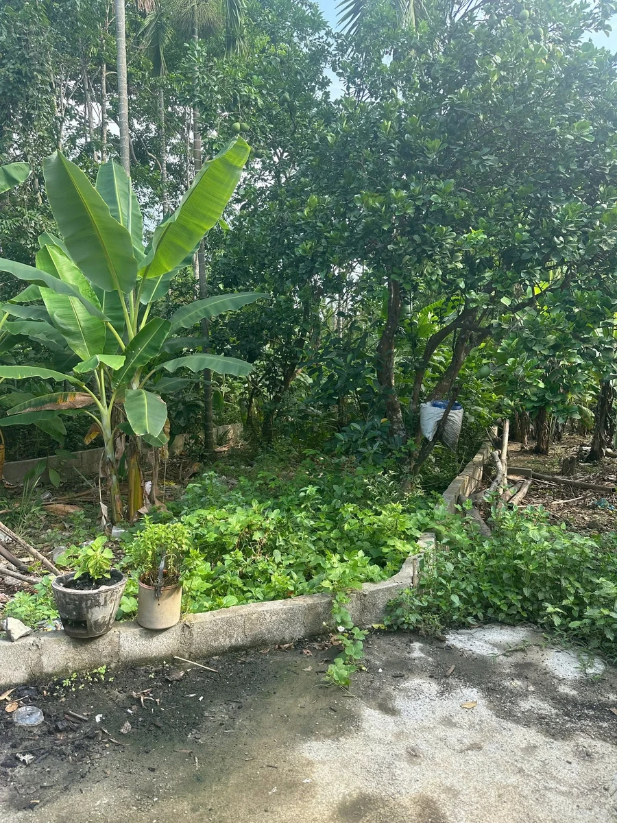 Bán 131m đất kiệt Lý Nam Đế, Quận 12, 990 triệu - Ảnh thu nhỏ 3