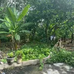 Bán 131m đất kiệt Lý Nam Đế, Quận 12, 990 triệu - Ảnh thu nhỏ 3