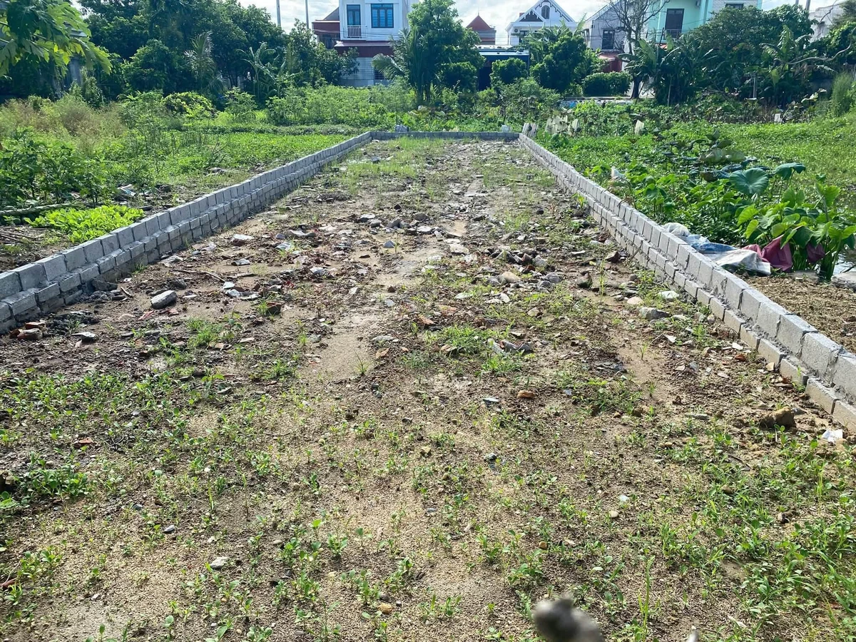 Bán đất mặt đường 97,75m2 Kiến Thuỵ Hải Phòng - Ảnh thu nhỏ 3