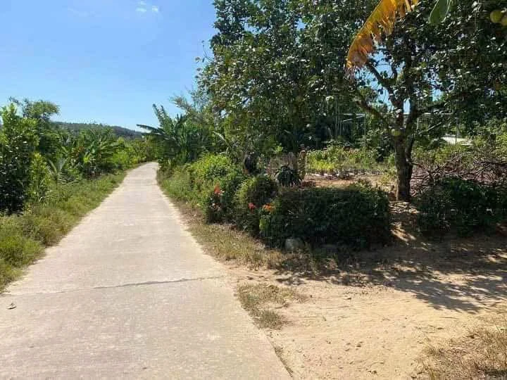 Bán đất mặt tiền view sông Hương 425m2 Huế - Ảnh thu nhỏ 4