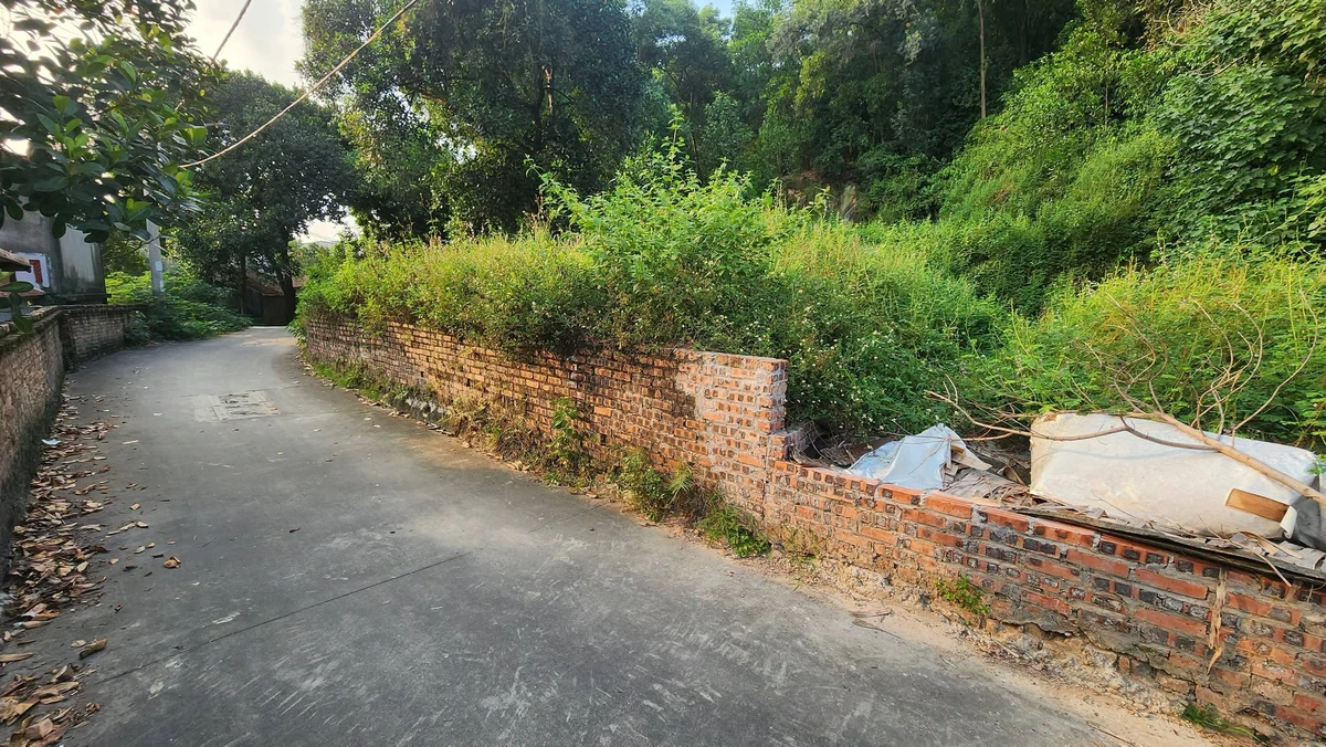 Bán lô đất thổ cư Thôn Bất Lự 72m² giá 1,35 tỷ - Ảnh thu nhỏ 3