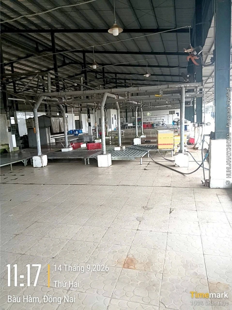 Bán cơ sở giết mổ gia súc 28000m2 Trảng Bom Đồng Nai - Ảnh thu nhỏ 4