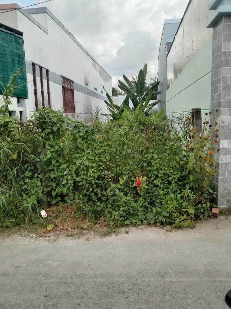 Bán nền đất 150m² tại xã Bình Phú, Vĩnh Long - Ảnh 1