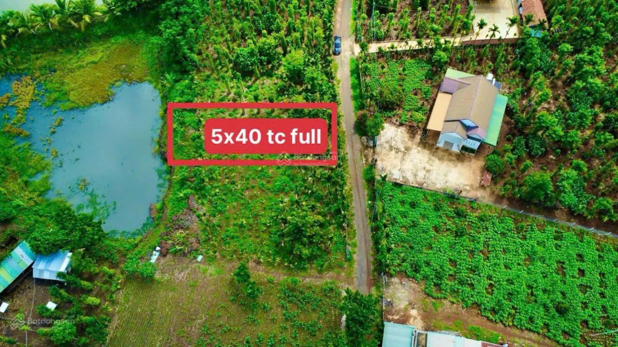 Tặng vườn cau sở hữu ngay lô đất full thổ cư giá 239tr Ea Ning Cư Kuin - 0971 801 *** - Ảnh 1