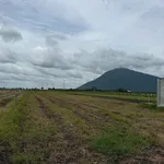 Bán đất vườn 1 công 275 triệu tại Suối Đá, Tây Ninh - Ảnh thu nhỏ 4