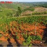 Bán đất 11000m² gần dân cư tại Tuy Đức, Lâm Đồng - Ảnh thu nhỏ 2