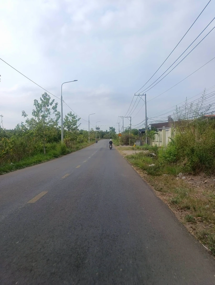 Bán đất sổ riêng mặt tiền 30x50m (1500m²) Đồng Nai 4,5 tỷ - Ảnh thu nhỏ 2
