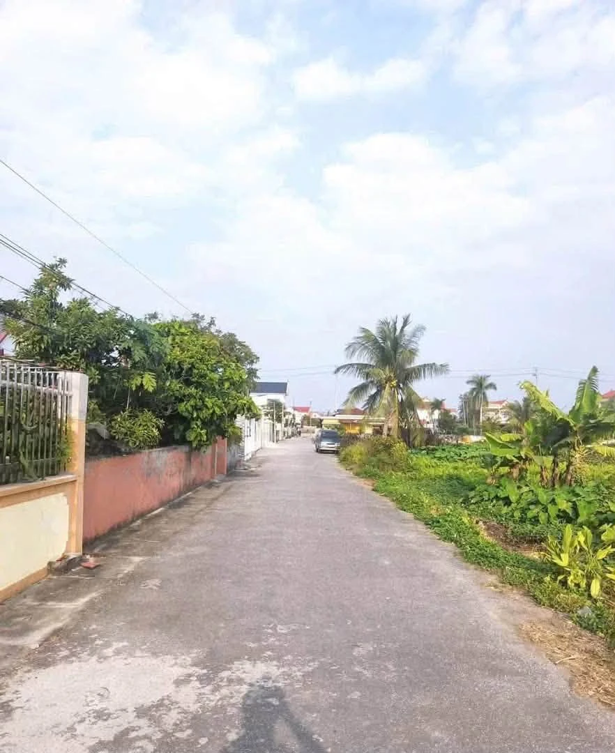 Bán lô đất Tiền Anh, Hải Phòng, 105m2, mặt tiền 5m - Ảnh thu nhỏ 4
