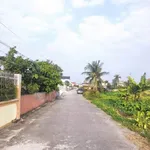 Bán lô đất Tiền Anh, Hải Phòng, 105m2, mặt tiền 5m - Ảnh thu nhỏ 4