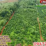 Bán vườn 3.2 ha Thôn 8 Trường Xuân 4.3 tỷ - Ảnh thu nhỏ 3